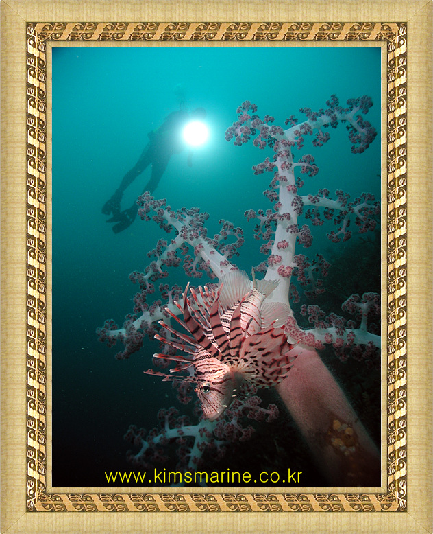 /user/k/kimsmarine/editor/2206/7509fb3bdd1c9f4d4bbc7db032f76050_1655976983_0623.jpg 이미지크게보기